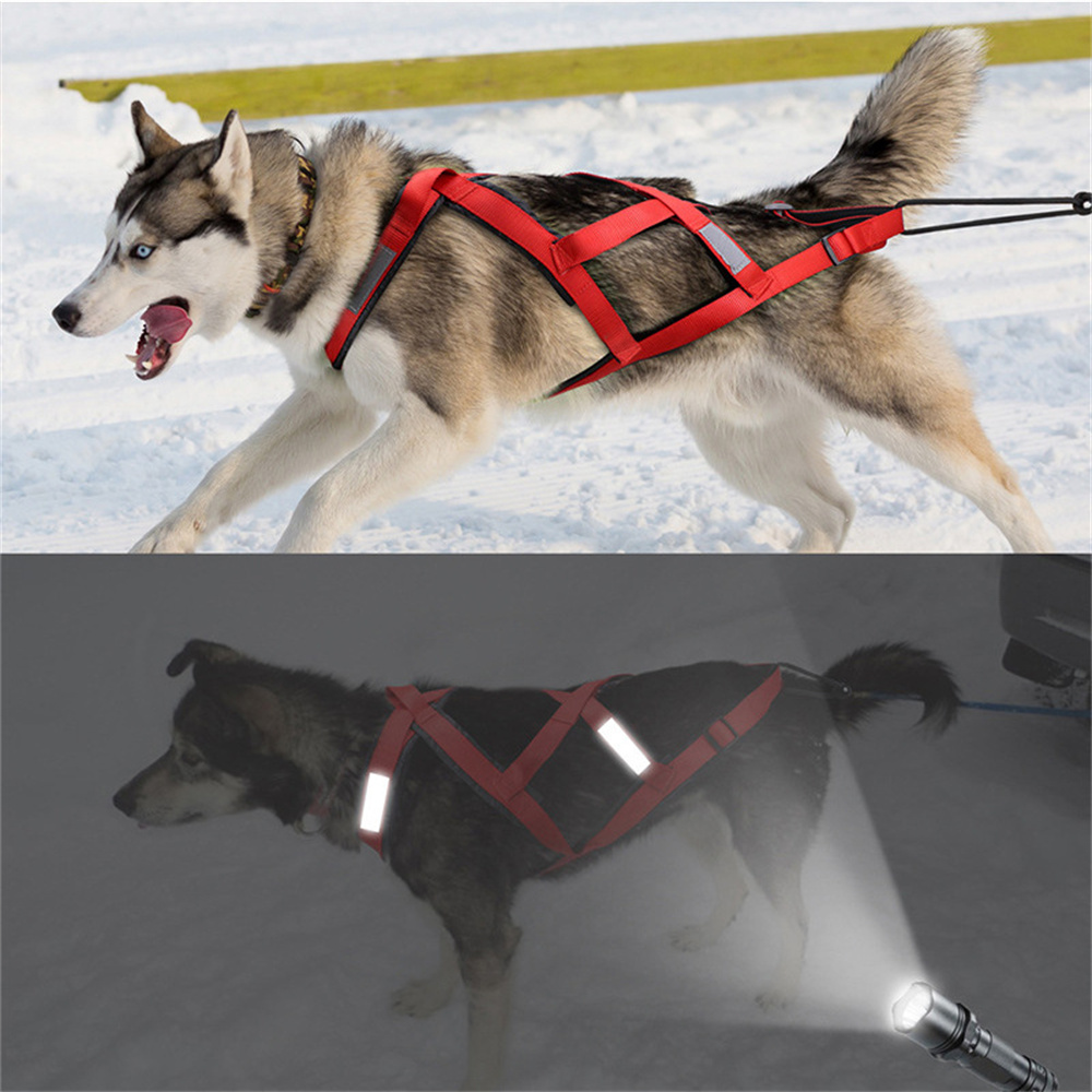 Высококачественная шлейка для  – обзор и цена Reflective Running Jacket